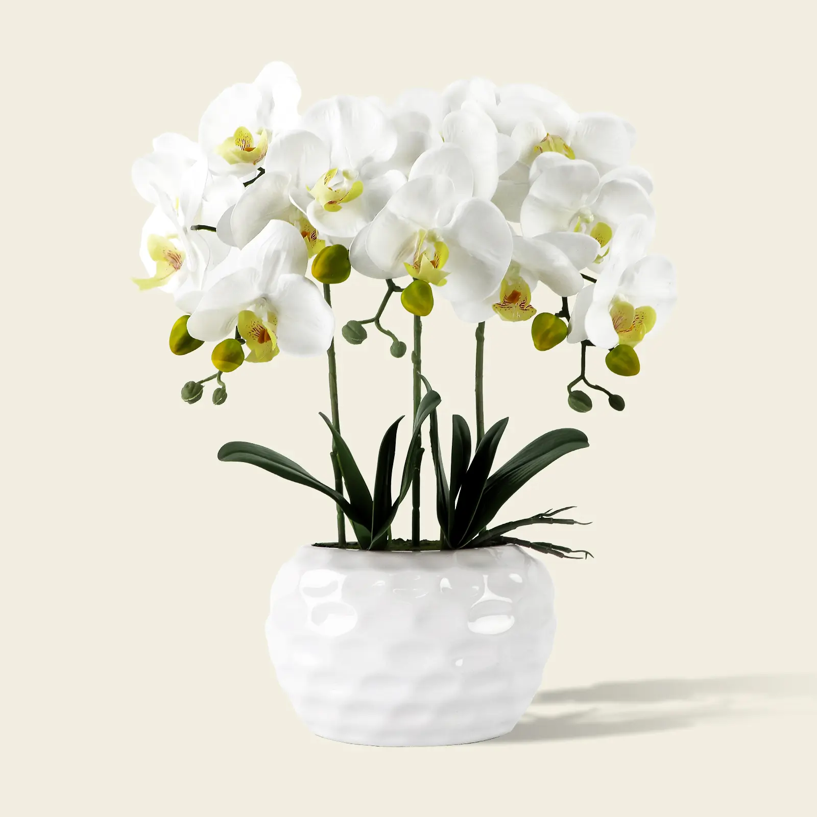 White Phalaenopsis Orchid, Faux Orchid In White Ceramic Concave Pot, Artificial Orchid Realistic Like-Live, Sun & Rain Resistant For Indoor Outdoor Flower, Artificial Flowers For Home Office, Porch Decor Gift