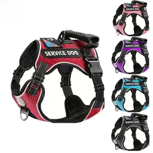 Hot Selling Dog Harness Anti-Slip Pet Chest Strap, Vest Style Dog Leash, Pet Supplies Set, Comfortable and Durable Design