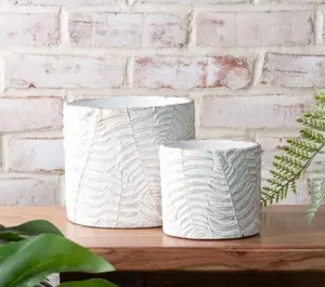 Cement Fern Pots