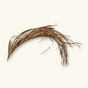 Natural Areca Palm Fronds (1c/3c) by Betta Botanicals for Blackwater Aquariums