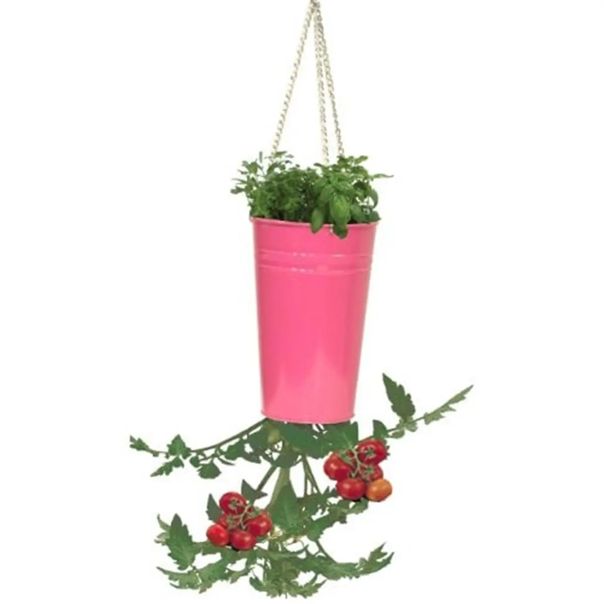 212 MAIN Galvanized Steel Upside-Down Hanging Flower Pot & Planter - Rustproof Enameled Blush Pink Hanging Basket, Aesthetic Mini Above-Ground Hanging Planter for Balcony Garden & Peppers, Hanging Baskets