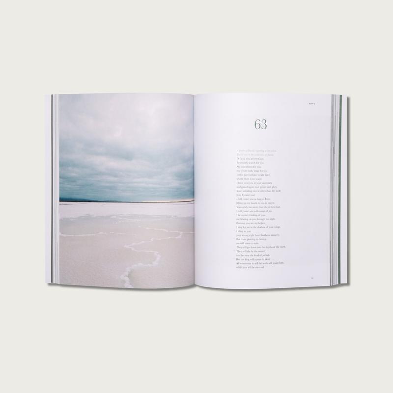 Alabaster Libro de los Salmos - Alabaster Bible (NTV Spanish Edition)