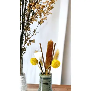 Reed Diffuser Replacement Sticks,The Wetlands, Rattan Wood Flower Aroma Fragrance Scent Decor Plants Gift Nature