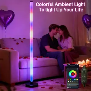 1pc RGB Indoor LED Floor Lamp, RGB Lighting, USB Powered, Mood decorative lights, Adjustable rgb lighting, Three Control Modes, APP & Music Sync, Suitable for living rooms, bedrooms, game rooms, Christmas, Valentine's Day and party decorative lights