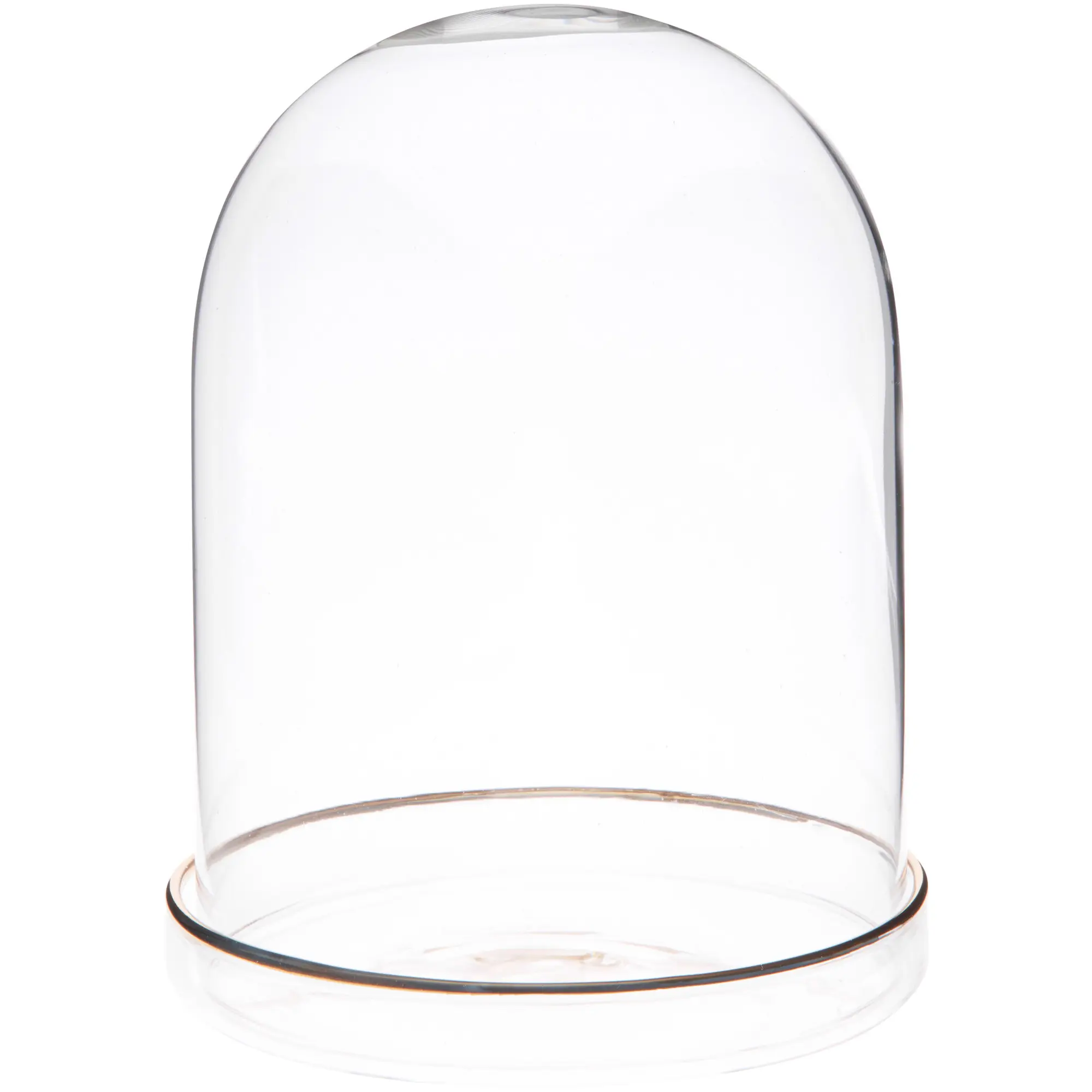 Plymor Round Glass Display Tray (Gold Rim)