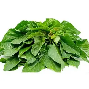 500+Green Amaranth Seeds Chinese Spinach Yin Cho Green Edible Vegetable USA