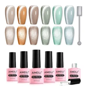Aimeili Cat Eye Gel Polish (SET6-61_8ML)