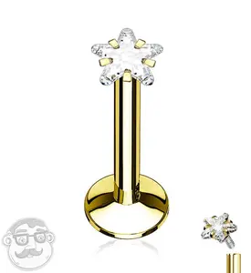 Gold PVD Star CZ Prong Internally Threaded Labret