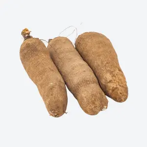 Fresh Ghana Yam (New Puna) - 10lbs