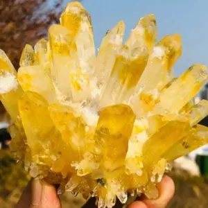 Natural Rare Yellow Phantom Quartz Crystal Cluster Specimen