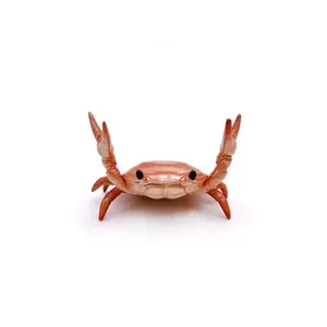 Realistic Crab Shaped Pen Holder, Cute Desktop Pen Holder, Decorative Desktop Decorations for Office and Home, Desk Accessories, Desk Organizer, Summer Gifts, Office Stationery Supplies, Birthday Gift, Home Decoration