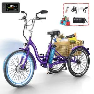 MOONCOOL 24"/26" MC350 Electric Tricycle Trike for Adults Seniors w/ Rearview Mirror kit,350W Motor (700W Peak),7 Speeds,36V 10.4AH Removable Battery, Low Step-Through, Rear Basket, 350lbs Capacity