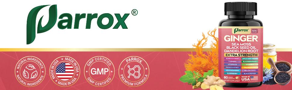PARROX Ginger Multivitamin Supplement - Overall Wellness and Dietary Support - 16+ Extra Strength Ingredients - 60 Veggie Capsules - Made in USA