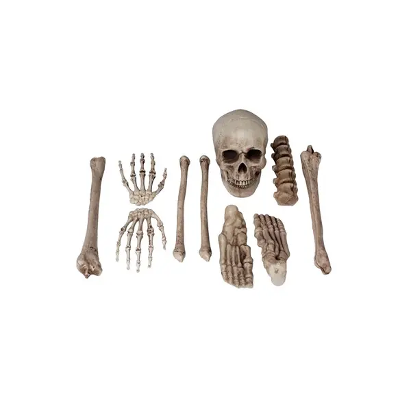 Bag O Bones Prop