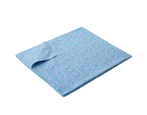 Raypath Sunbeam Blue Cleaner XXL