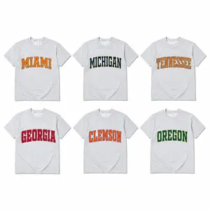 Vintage College Crewneck T-Shirt – Ash Grey, Custom University Team, Game Day Shirt, Back To School, Retro Varsity Style, Menswear & Womenswear