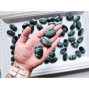 Seraphinite Mini Palm Stone