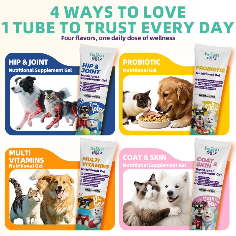 Hegenpet Concentrated Energy Supplement Paste (4Flavors) Premium Nutritional Gel for Picky Eaters - BoostImmunity & Vitality for Dogs & Cats