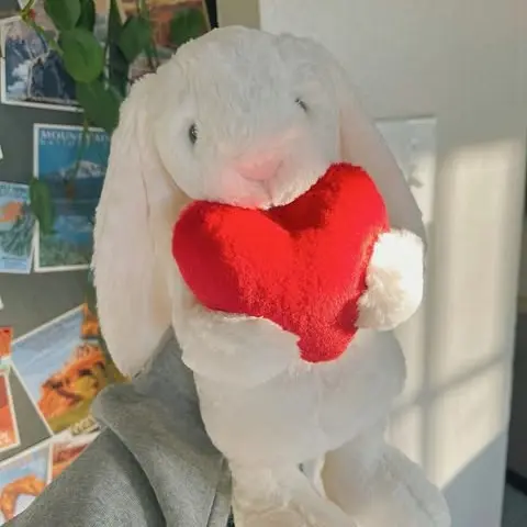 Jellycat Bashful Red Love Heart Bunny, Plush Toy, Soft Cuddly