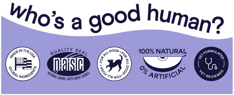 FINN Digestive Probiotics for Dogs - Complete Digestive System Support with 6 stains  Live Probiotics, Pumpkin & Prebiotics - Vet Recommended - 90 Soft Chews – Canine Nutritional Supplement