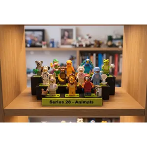 12 Minifigure-Scale Collector Stand with Personalized Name Plate