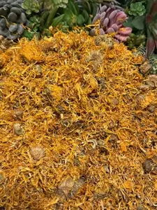 Dried Calendula Flowers USA Grown, Calendula Flowers Whole, Calendula Officinalis Crafting & Apothecary