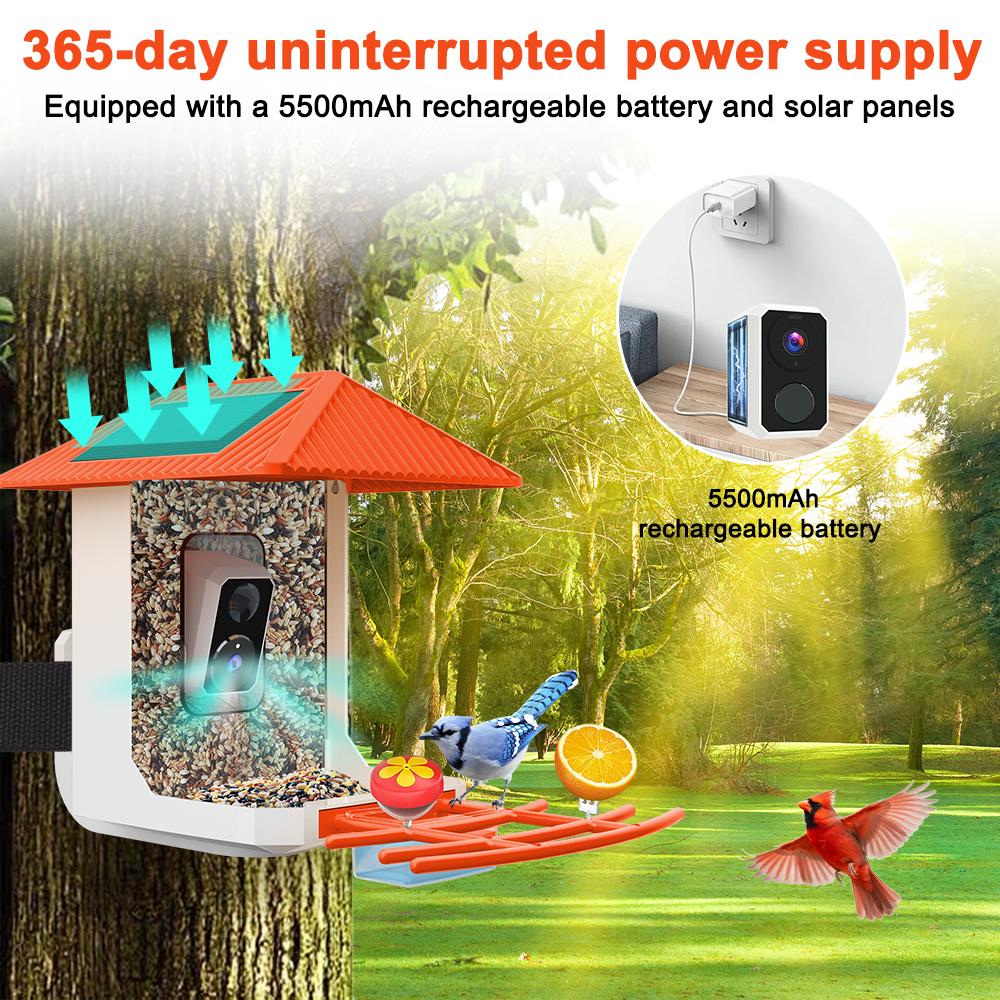 2.5K Smart Bird Feeder with Camera Outdoor Solar Powered, 2.4GHz/5GHz WiFi Birds Watching Camera with Auto Capture & AI Identification, Real-time Notifications, Gift for Bird Lovers