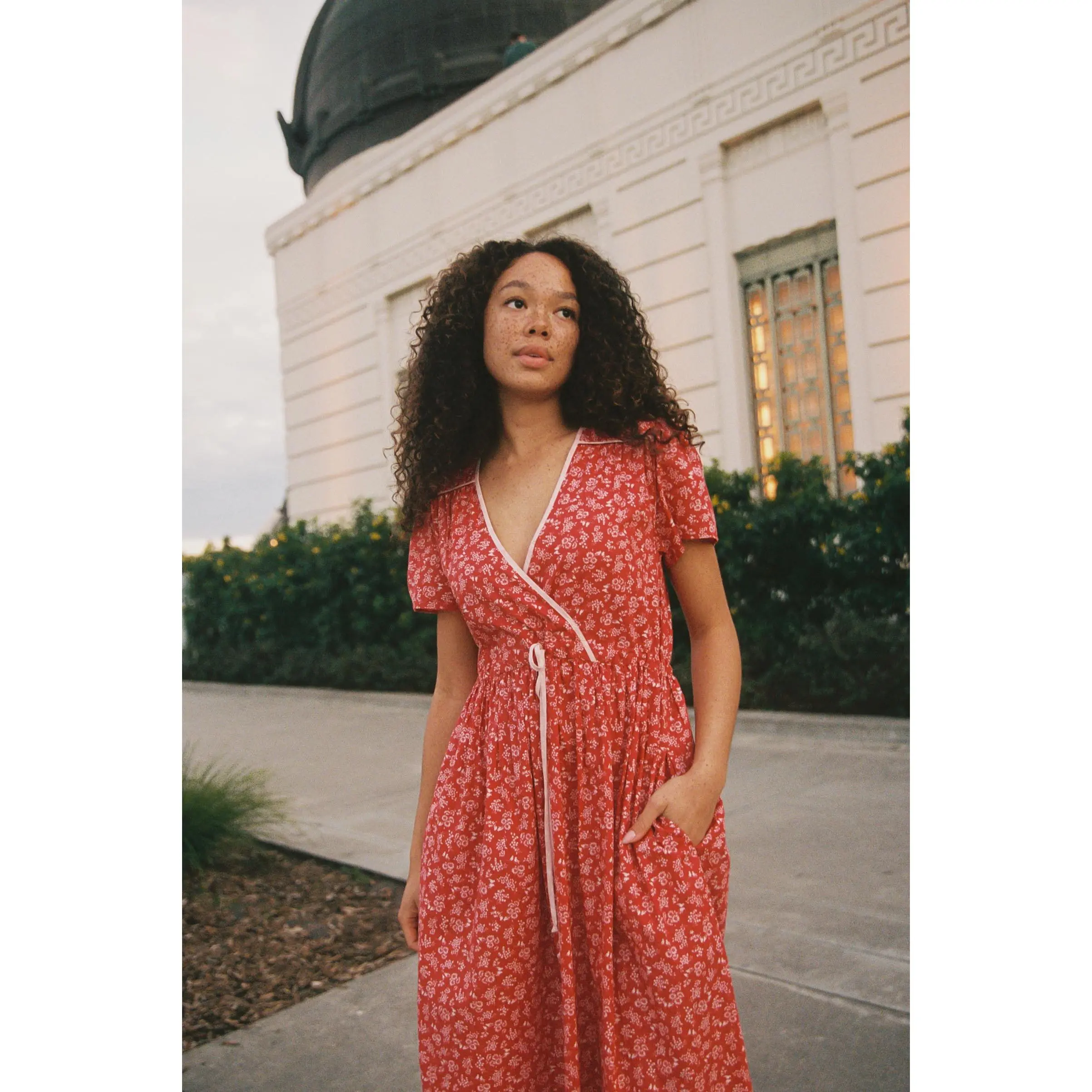 The Dawn Dress Petites | Robin Blossom