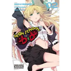 High School DXD, Vol. 2: Volume 2 -- Hiroji Mishima - Paperback