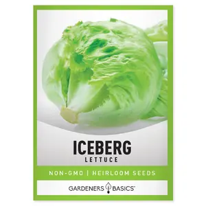 Iceberg Lettuce Seeds For Planting Home Salad Garden Green Seed Easy To Grow Indoors and Outdoors and Aquaponics and Hydroponics
