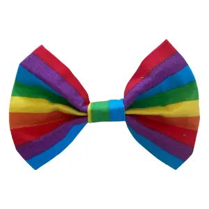 Bright Rainbow Bow Tie