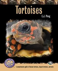 USED-Tortoises: A Comprehensive Guide to Russian Tortoises, Leopard Tortoises, and More by Pirog, E. J. (Paperback)