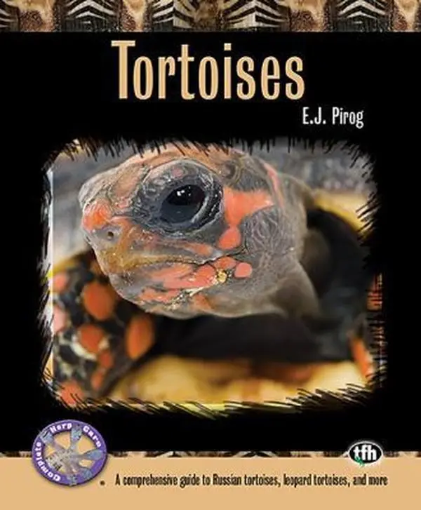 USED-Tortoises: A Comprehensive Guide to Russian Tortoises, Leopard Tortoises, and More by Pirog, E. J. (Paperback)