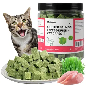 Freeze-Dried Cat Grass Treats with Premium Gourmet Blend - Natural Hairball Control & Gut Health Support for Cats (Chicken Breast Formula, 2.12 oz)