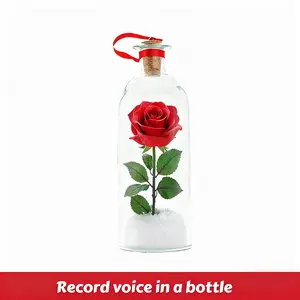 Forever Voice Recordable Snow roses Scene Glass OrnamentPersonalized Message in a Bottle! Save Precious VoicesForever Heartfelt Valentine's Day Gift for Girlfriend/Boyfriend/Wife/Husband/Friends &Loved Ones|Xmas Tree|Valentine's Day roses Decor
