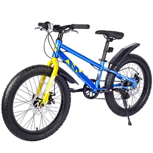 Dufominc 20 Inch Kids Bicycles Fat Tire Mountain Bike for Boys and Girls Age 5+ 7-Speed Dual-Disc Brake Steel Frame Beach Snow Bicycle