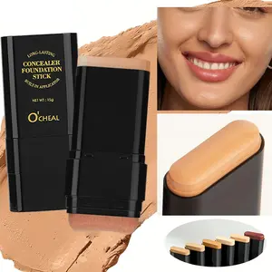 Two-in-one matte concealer foundation stick, six colors optional, comes with foundation brush, waterproof and sweat-proof, easily covers spots, dark circles, blemishes, easy to apply, and creates a natural makeup effect, Oil Control Matte