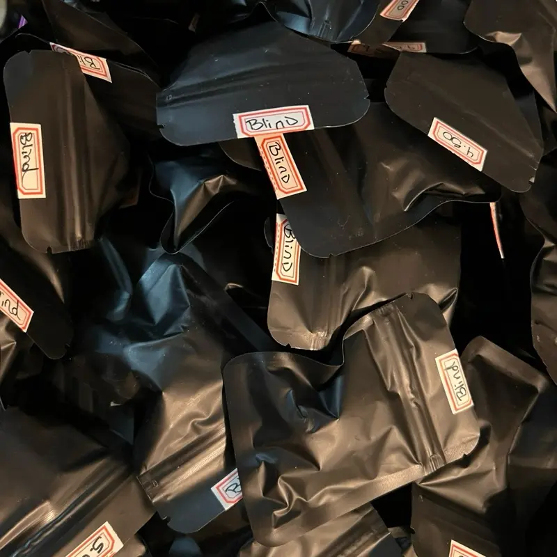 Natural Item Surprise Blind Bag - Mystery Collectible for Casual Gifting