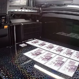 Custom 3d Lithophanes and Chromas