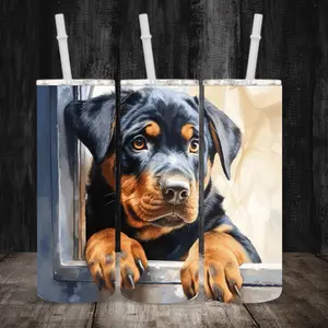 20 ounce Rottweiler in a window Tumblr