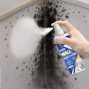 Wall & Ceiling Stain Remover, Powerful Stain Removal, Damage-Free Formula, Pet Stains, Quick Color Restoration, Stain Treater, Liquid Spray