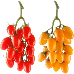 Artificial Tomato String, 2 Pack Simulation Artificial Lifelike Fake Fruits Vegetable Photography Props Home Kitchen Harvest Decoration (Red & Yellow, 2pcs)