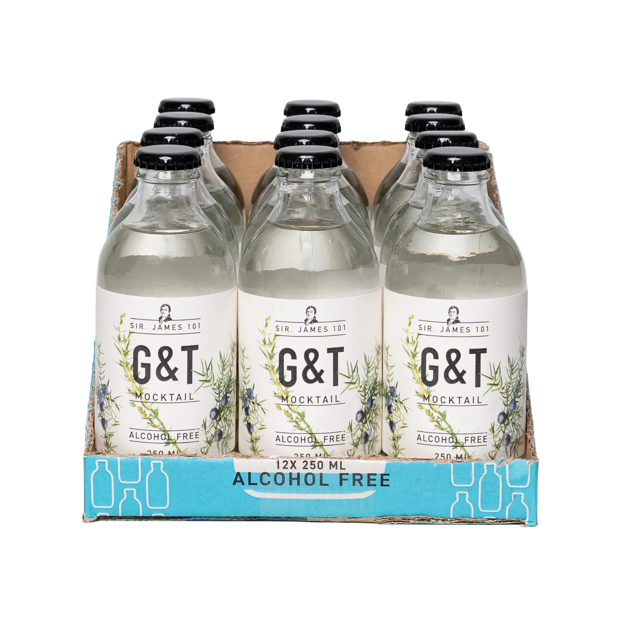 Sir. James 101 Non-Alcoholic Gin & Tonic Natural Beverage, 12-Bottle Party Pack, Fruit