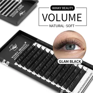 winky beauty 12Rows Classic Individual Eyelash Extension Lashes 8mm-20mm Handmade Matte Black Fluffy Volume Natural Eyelash Extensions False Eyelashes C CC D Curl Fake Eyelash for Party