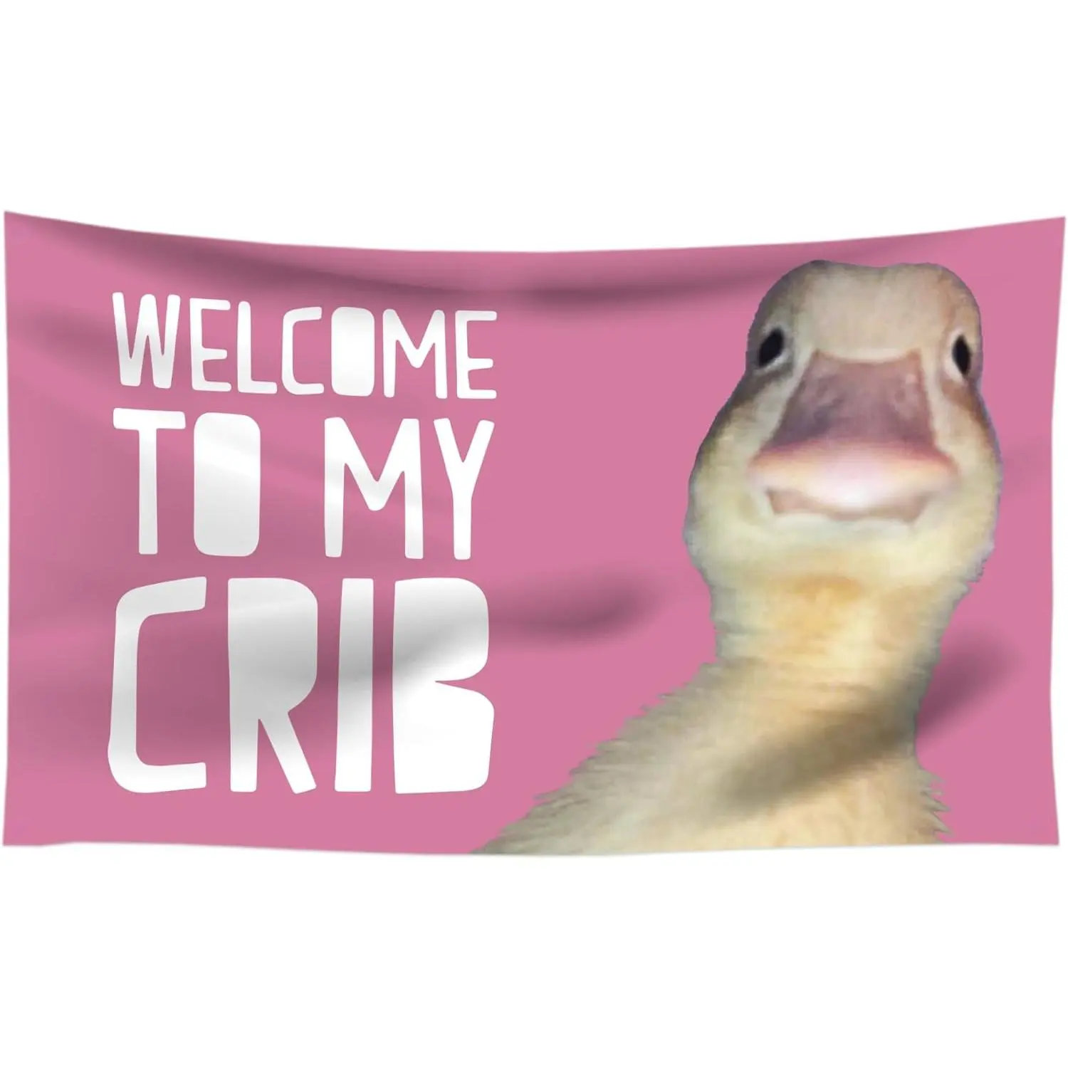 Cotton Lightweight "Welcome to My Crib" Funny Tapestry Wall Hanging, 60x40in Home Decor for Bedrooms, Outdoor Backdrop Banner