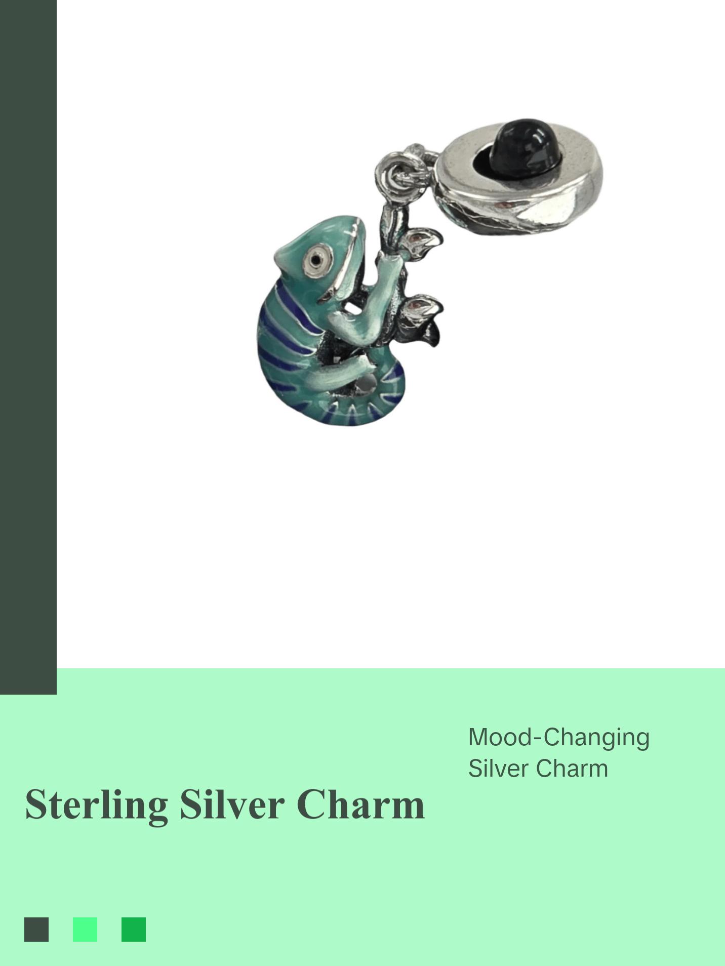 Camouflage Chameleon