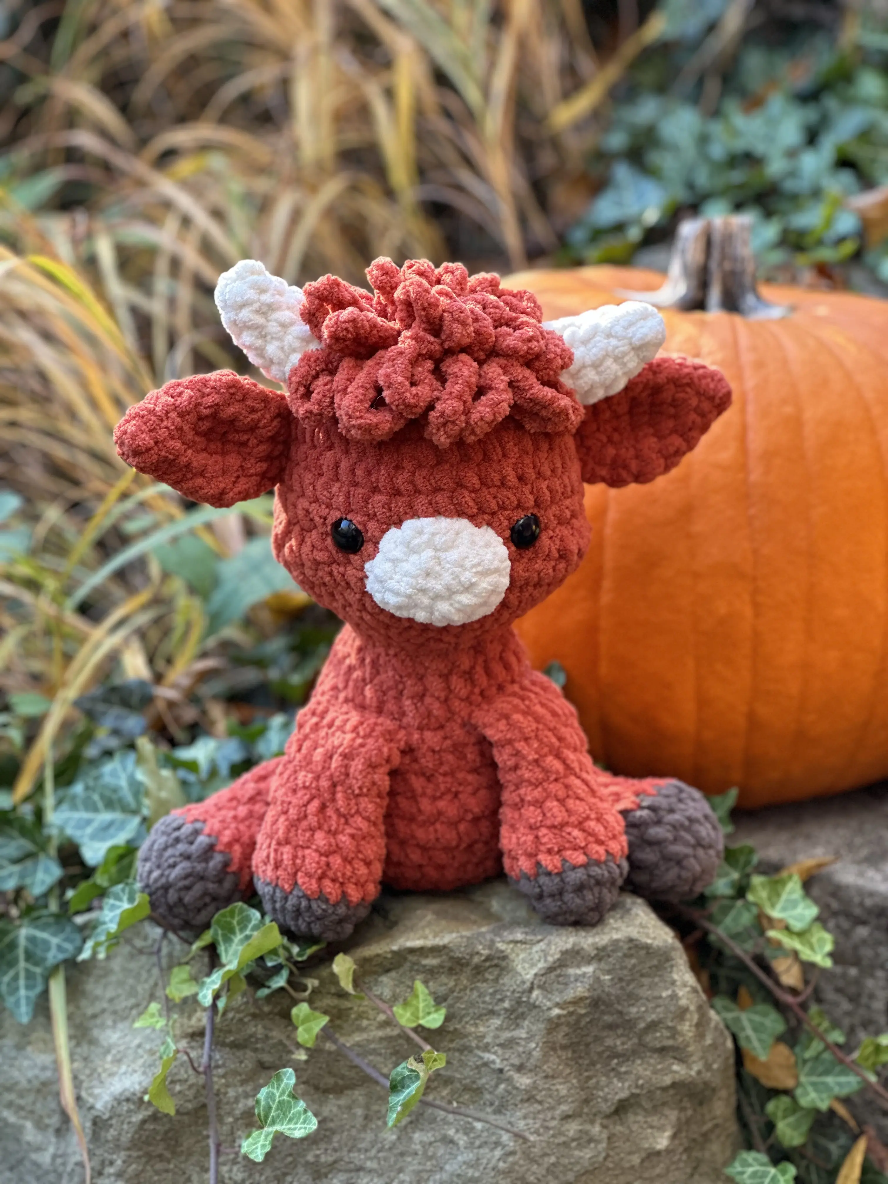 Highland Cow
