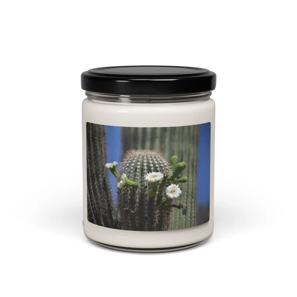 Scented soy candle featuring a blooming Saguaro Cactus