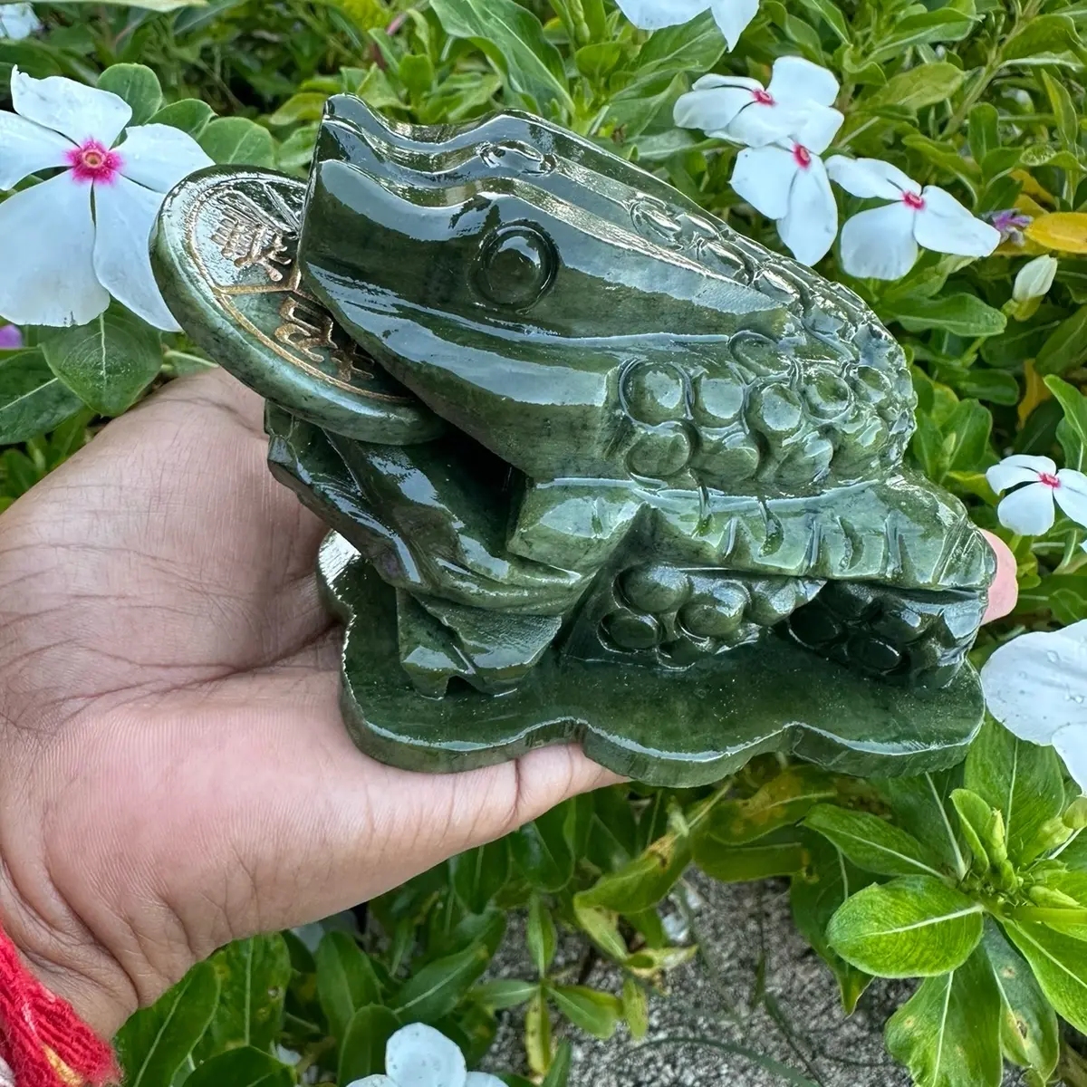 Money Frog