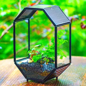 NCYP 6x8 inches Octagon Shaped Stainless Steel Glass Enclosure Terrarium with Mesh and Side Opening Door, for Jumping Spiders, Insects (Terrairum Only)